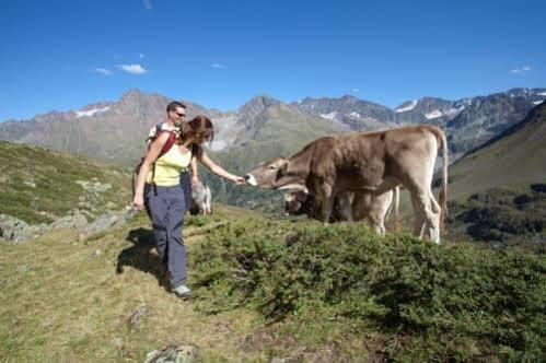 Karlspitze -natur Pur Appartementhaus Appartement *
